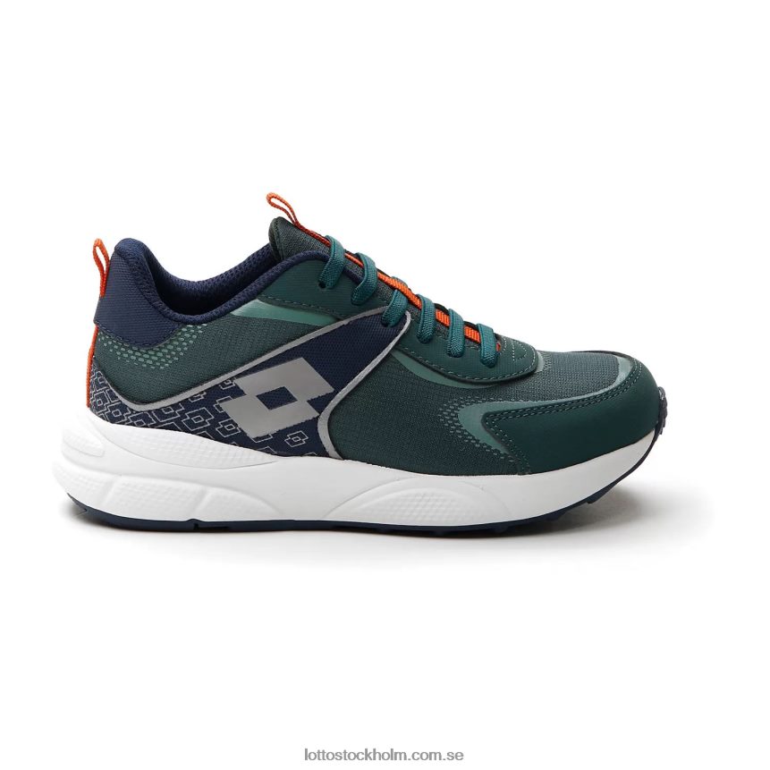 barn sirius amf cl LottoD8R6841080