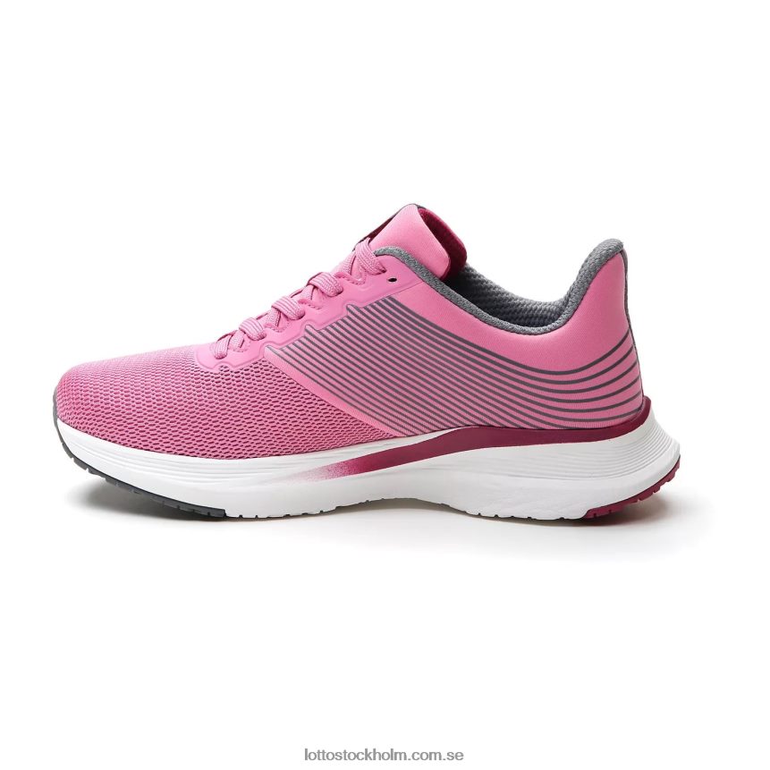 kvinnor speedevo 700 w Lotto vild orkidé/lila 228/sval grå 10c D8R684791